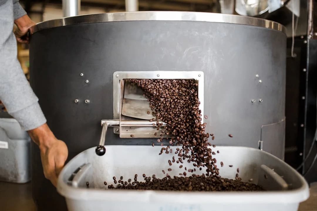Green coffee beans